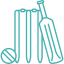 cricket (1)